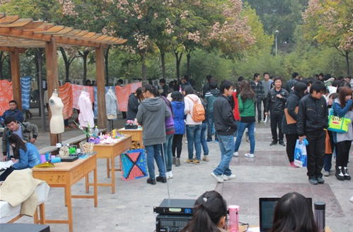 艺术之光闪耀校园 周末文化广场活动开幕，推动国内文化艺术交流新篇章